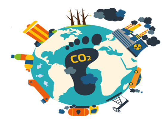 C3 RightsOnline